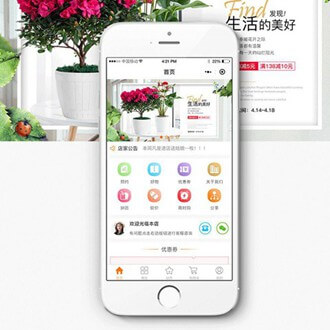 汪清门店微商城小程序开发